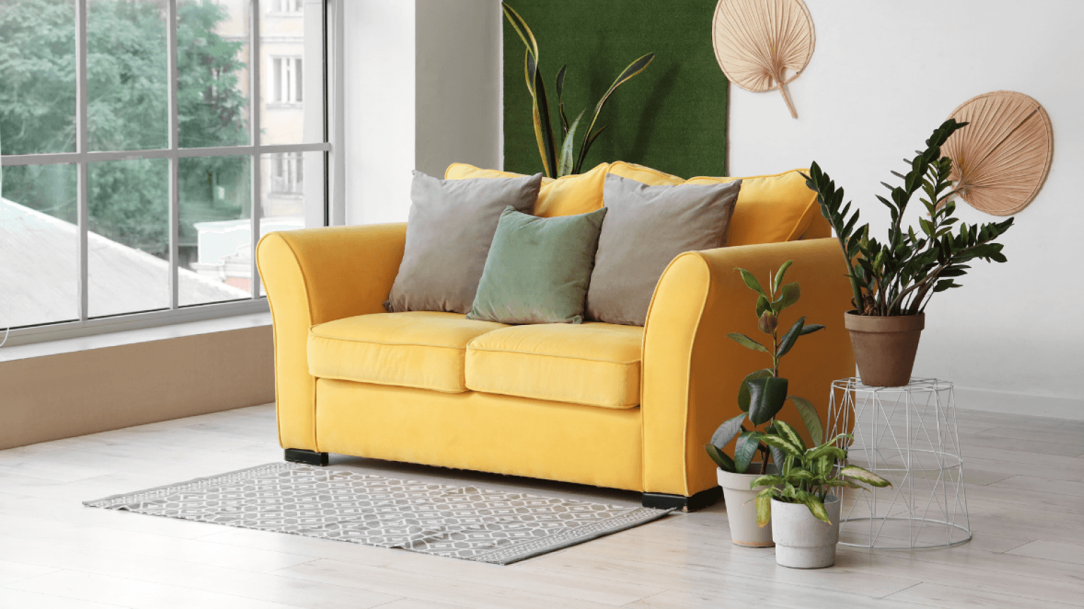 sofa
