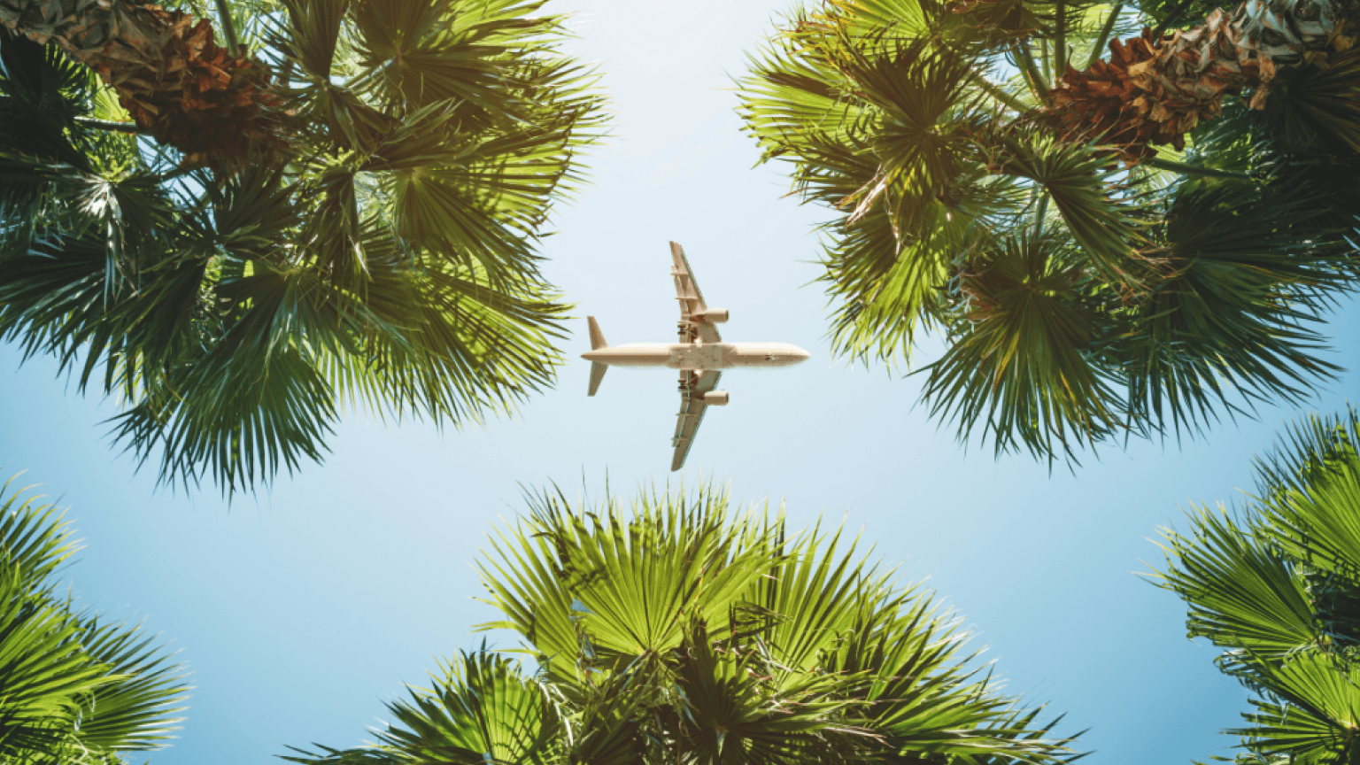 Travel blog
